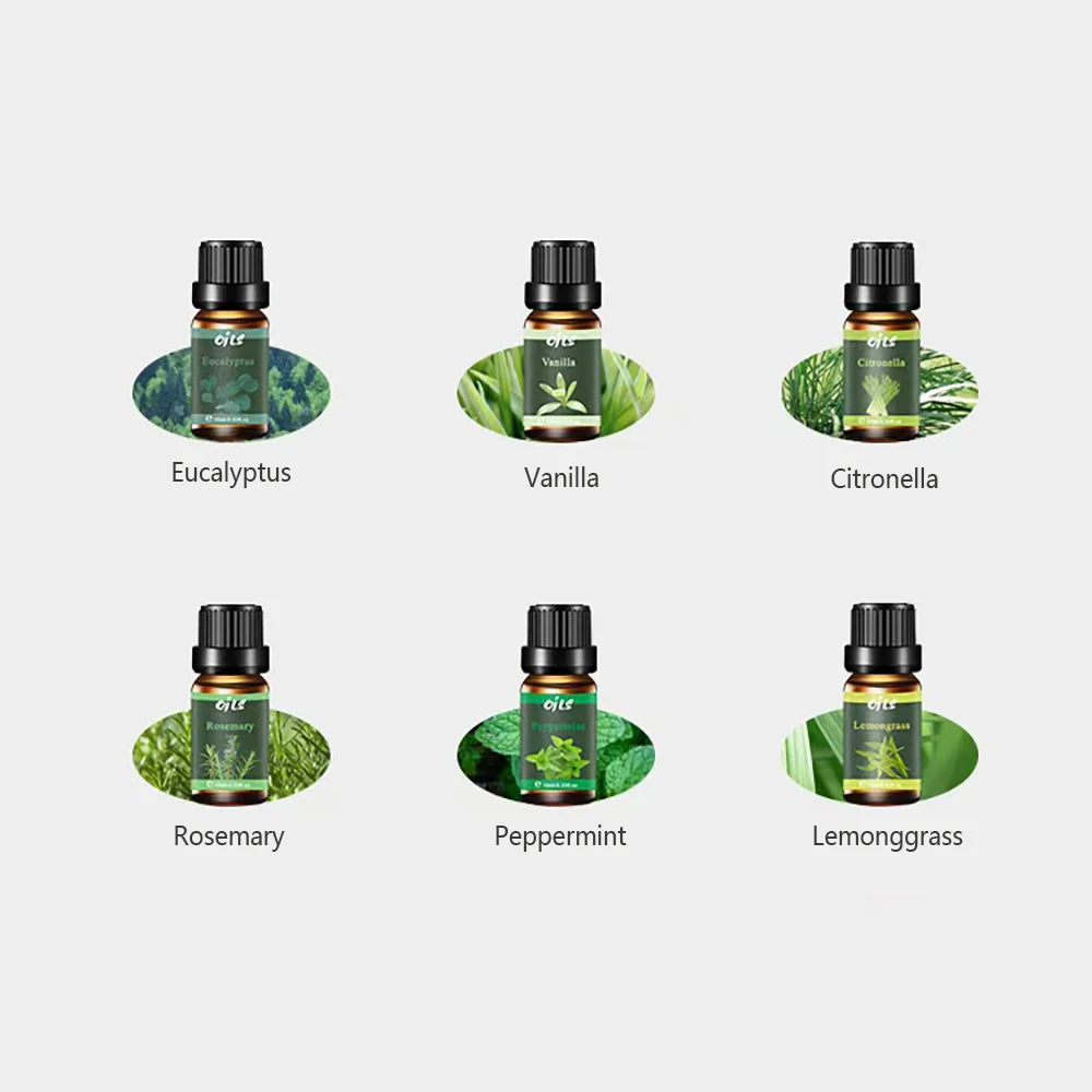 6-Pack 10ml Essential Oil Set – US Stock