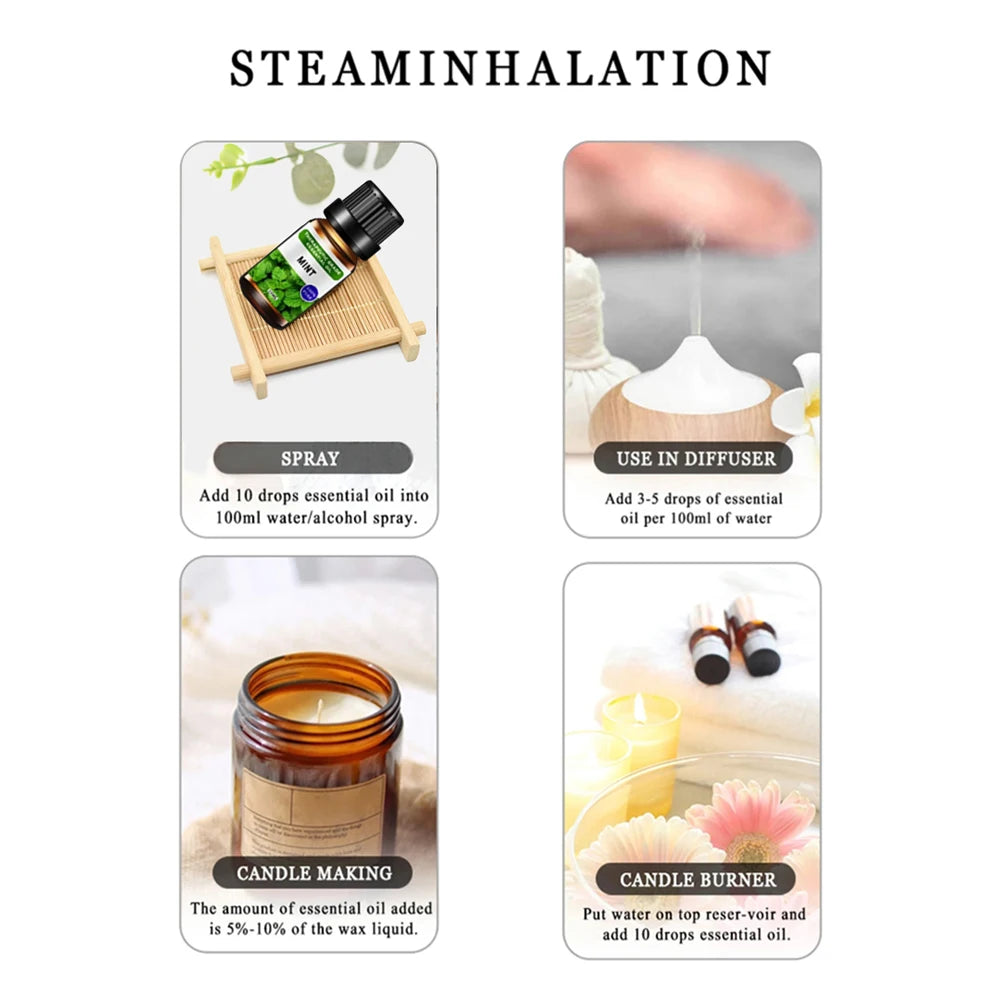 Luxury Essential Oil Gift Set – 6 Scents incl. Ebony Agarwood