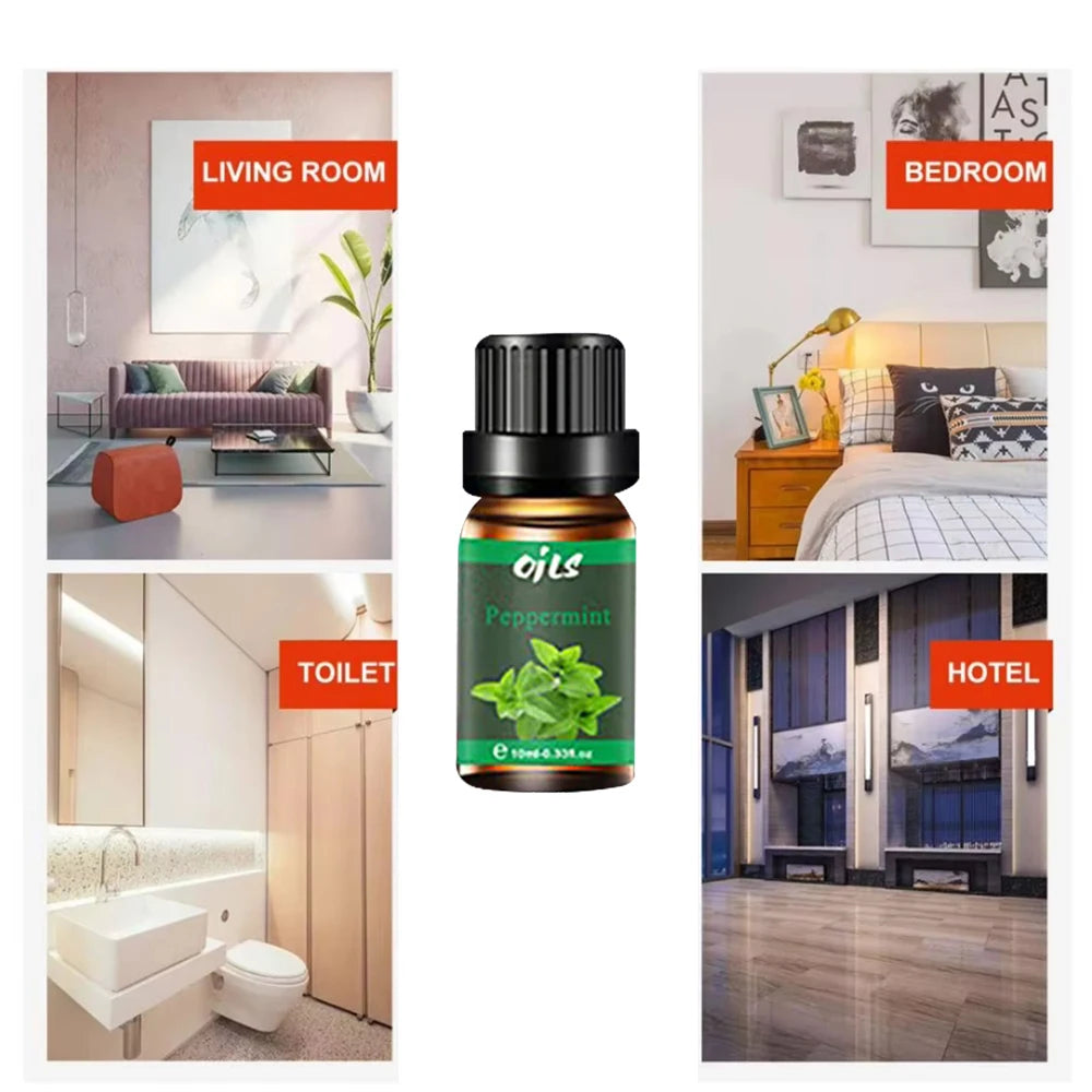 6-Pack 10ml Essential Oil Set – US Stock