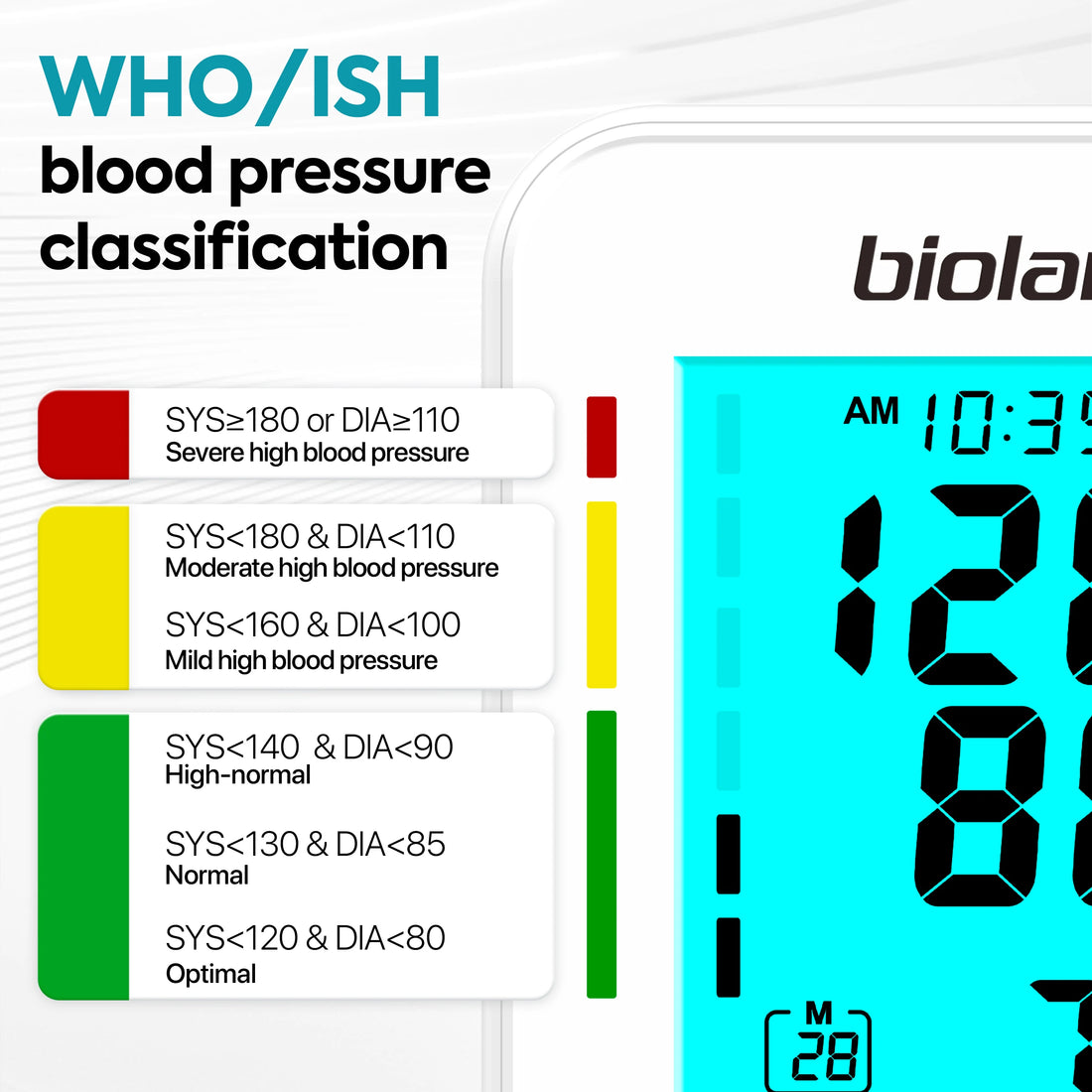 Bioland 2008 Digital Upper Arm Blood Pressure Monitor