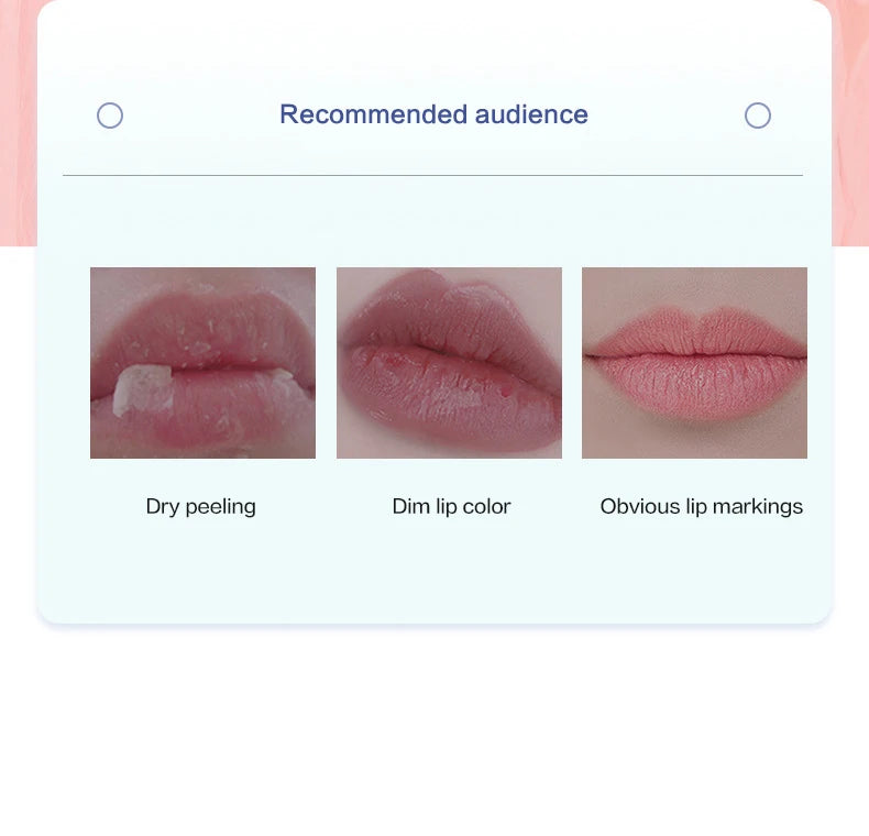 Natural Plant-Based Lip Balm Set – 4/6/8pcs