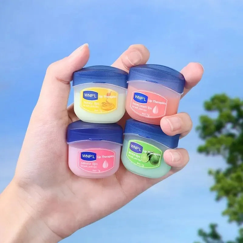Natural Plant-Based Lip Balm Set – 4/6/8pcs
